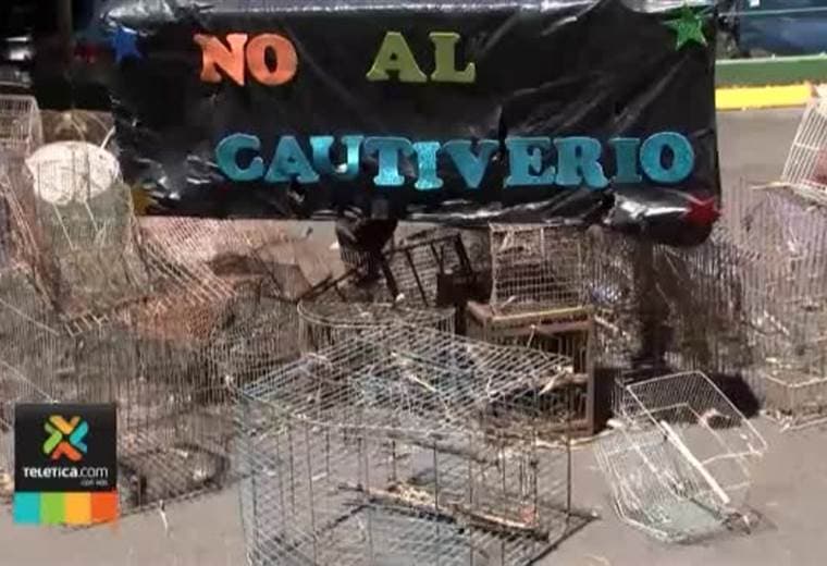 150 Jaulas destruidas