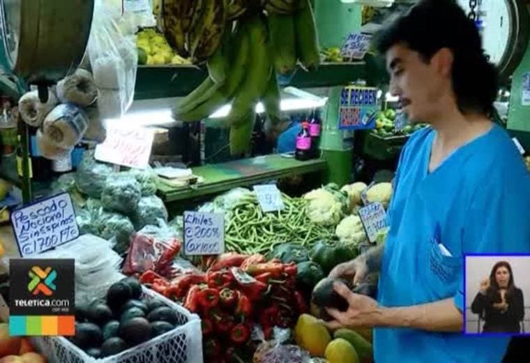 Productores de aguacate de la zona de Los Santos buscan conquistar el mercado europeo