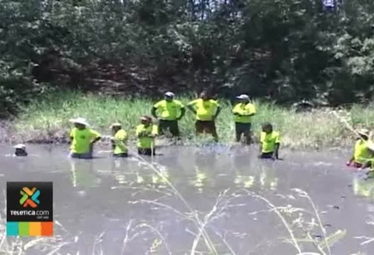 Sinac no otorgará permiso para la "lagarteada" en Guanacaste de este año