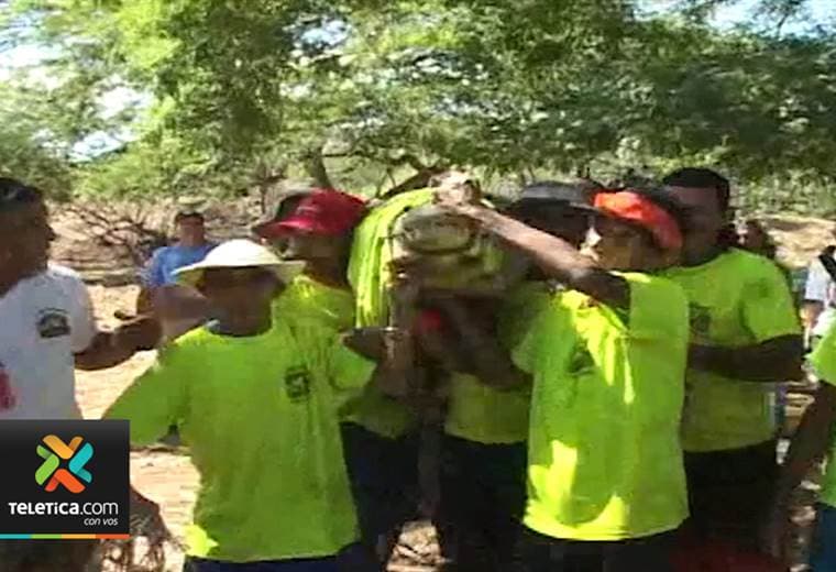 Sinac no otorgará permiso para la "lagarteada" en Guanacaste de este año