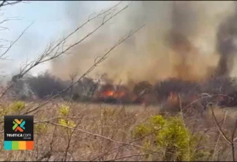 Bomberos se preparan para aumento en incendios en charrales