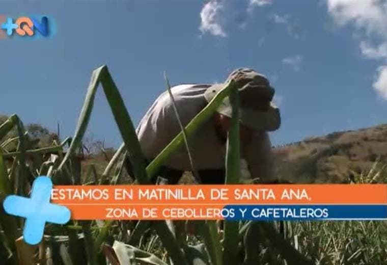 ¿Será complicado sembrar en las montañas de este pueblo josefino? Pues nos fuimos para Matinilla, allí don José Sandí nos explica los retos de los agricultores, además de contarnos su historia por el pueblo de las cebollas.