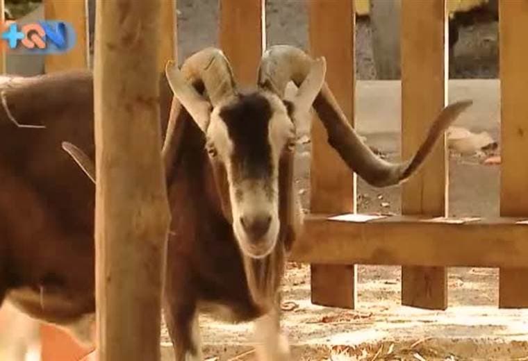 En el Centro de Conservación Santa Ana se pueden realizar más de 5 actividades bajo un mismo precio y sin tener que desplazarse largas distancias.