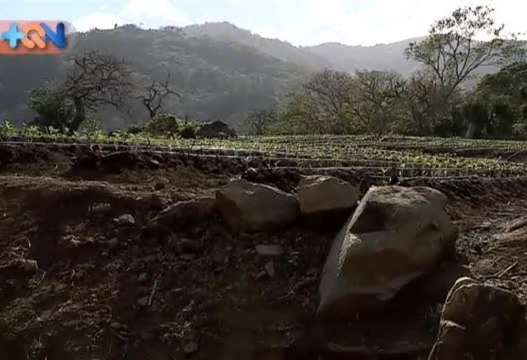 Ernesto Córdoba tiene una particularidad como pocas, se come la manzana como cebollas. Retó a nuestro compañero José Ernesto a hacerlo y vea como le fue: