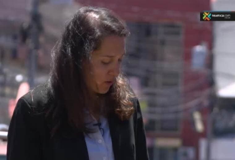 Conozca cómo funcionan las innovadoras guarderías para sus mascotas