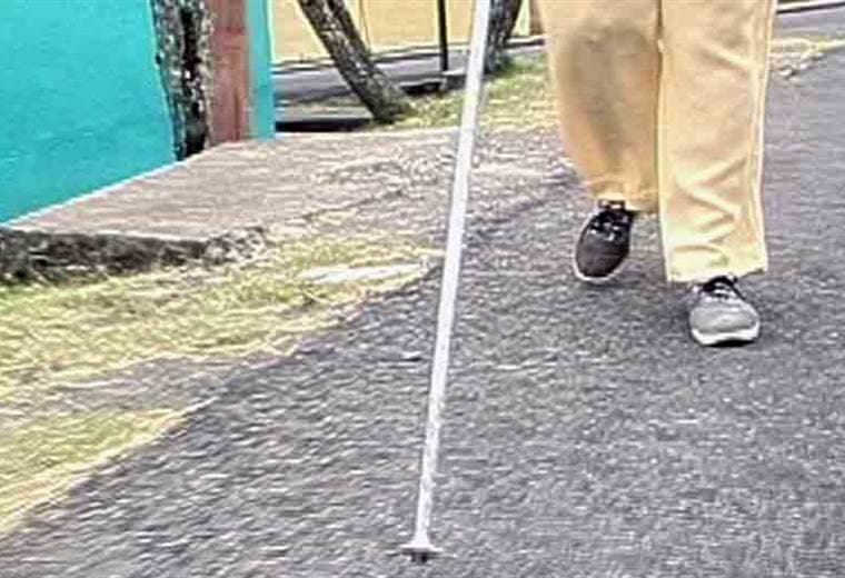 ¿Cómo elegir el tipo de bastón adecuado según su necesidad?