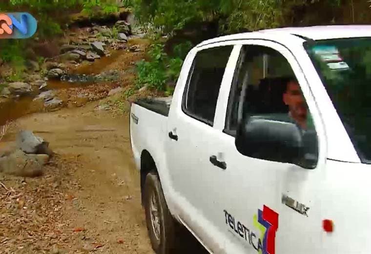 Es poco conocido pero en la zona tiene fama. Dicen que acá nació y por eso es muy característico.   Se trata de unas hijas similares a la papaya, pero en picadillo y con pellejo saben deliciosas.   Doña Maritza es la protagonista de nuestra historia, a ella la encontraremos en la feria todos los viernes.