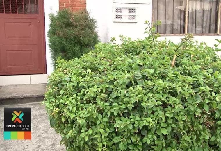 Víctima de timo del AyA se confió del uniforme que usaba delincuente y por eso abrió el portón