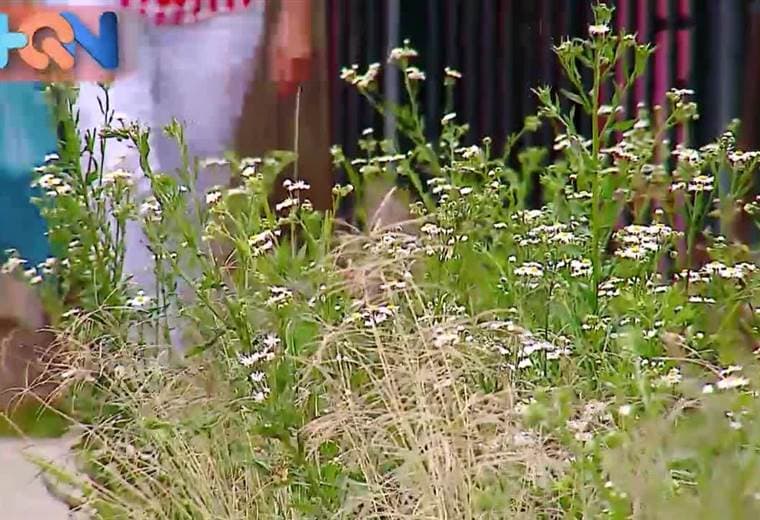 A ella nada se le va y no es para menos, tiene toda la vida de coser.  Por eso es que todas las señoras la buscan para hacer ruedos, para hacer arreglos y cuanto trabajo de telas aparezca.