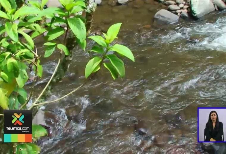 Personas arriesgan sus vidas cada vez que pasan un puente de hamaca entre Coronado y Moravia