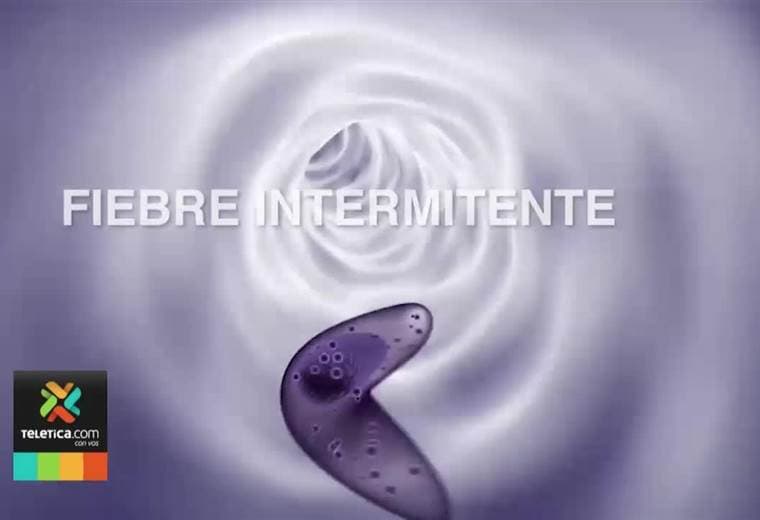 Examen de sangre conocido como 'La gota gruesa' permite diagnosticar la malaria