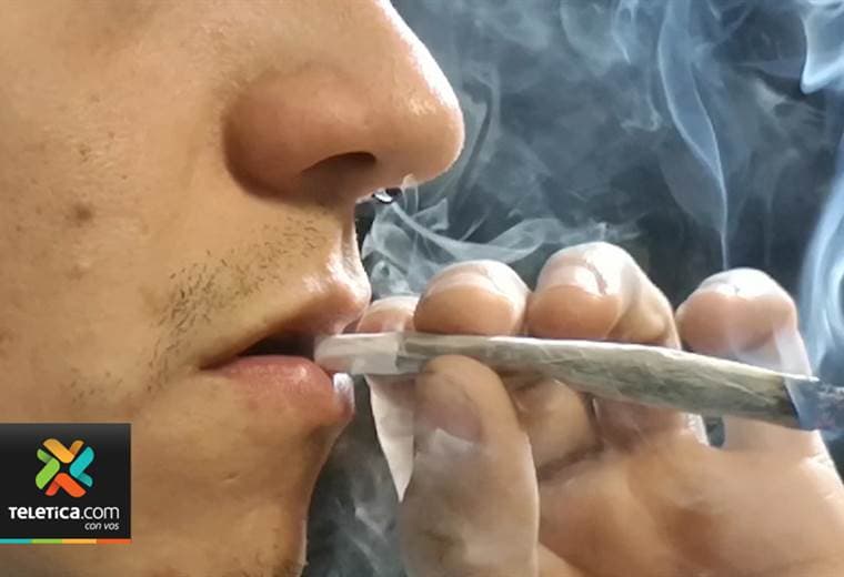 Miles de ticos prueban la marihuana mucho antes de cumplir la mayoría de edad