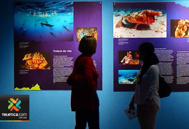 Muestra fotográfica propone a los costarricenses una “Travesía por la isla del Coco”