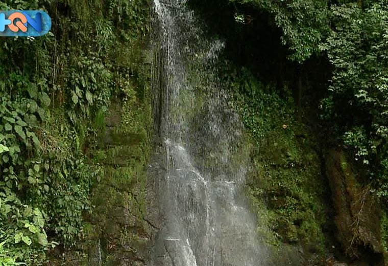 Con 40 metros de altura y a la par de la carretera principal, así encontramos la Catarata el Salto en Alvarado. Es un lugar hermoso que se accede preferiblemente en carro 4x4 pero que se ubica a menos de 15 minutos del centro de Pacayas.  Atrévase a descubrirlo, es sencillamente espectacular, lo mejor de todo es que se puede hasta ir a hacer picnic a la zona.