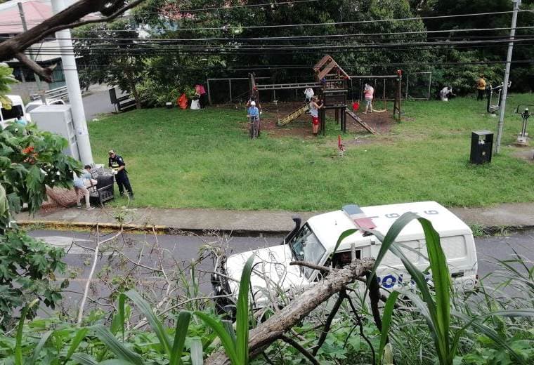 Vecinos, Municipalidad y Fuerza Pública de Curridabat limpian lotes baldíos contaminados