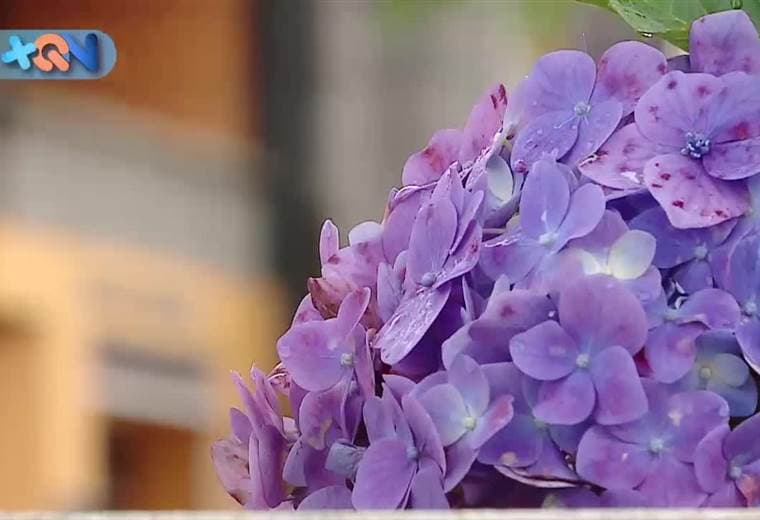 Sáquele el jugo a San Pablo de Heredia