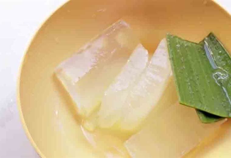 Aprenda cuáles son los beneficios del aloe vera y cómo consumirlo para potenciar sus propiedades