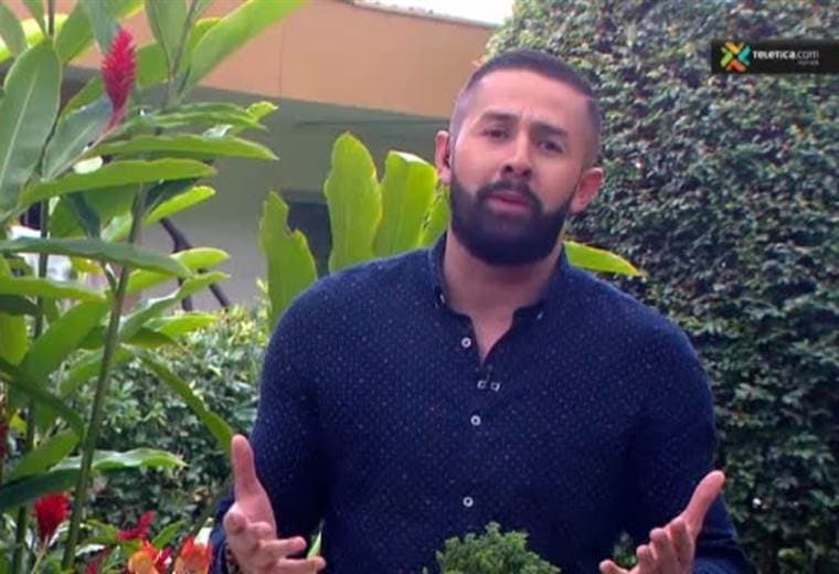 Aprenda a relajarse en su hogar con los bonsái