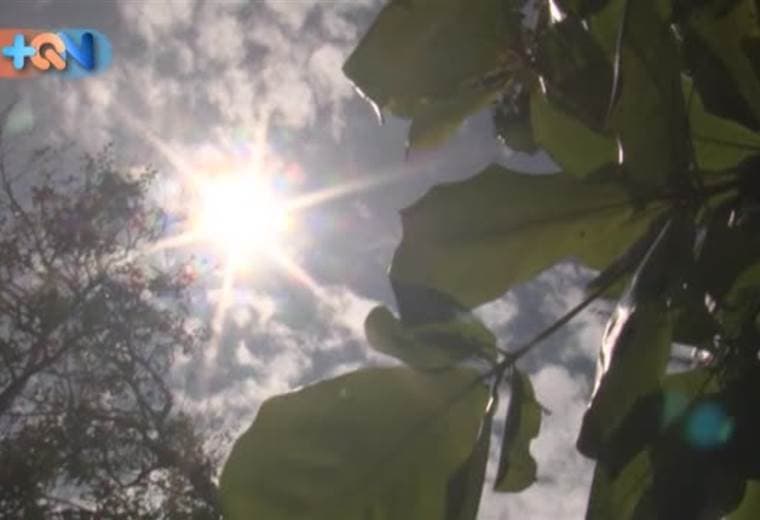¿Cómo sacarle el jugo al cantón de Montes de Oro? Para aprovechar la visita a esta comunidad la primera parada obligatoria es el Mercado Municipal, donde le esperan con una buena olla de carne en la Soda La Amistad.   Doña Marita Hernández es la responsable de atenderle en este lugar. Ella se ubica en el local #8 donde pone en práctica toda la experiencia acumulada en la cocina durante más de 15 años.   Así como doña Marita le saca el jugo a su talento, durante los últimos 9 años  Macho Clutch es otro de los personajes que busca salir adelante.