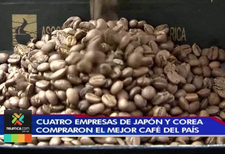 En Japón y Corea se tomarán el mejor café de nuestro país