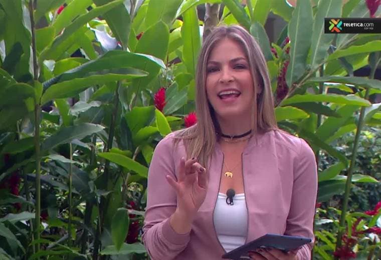 Le enseñamos cómo sembrar hortalizas y verduras en bandeja