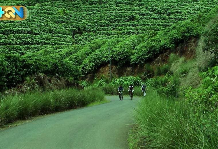 A menos de cinco minutos del centro de Naranjo, se encuentra la finca de CooproNaranjo, lugar al que nos dirigimos en nuestros ya acostumbrados paseos en bicicleta.  En este recorrido vamos hasta las faldas del Cerro Espíritu Santo, lugar donde se concentra la producción de café de Coopronaranjo.