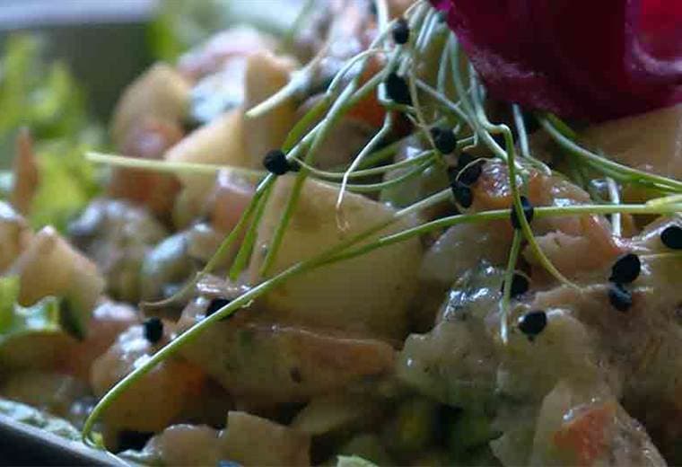 Si es alérgico a los mariscos le mostramos opciones para sustituirlos y evitar problemas de salud