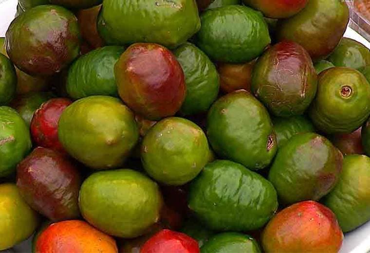 Este fin de semana no se pierda la Feria del Jocote