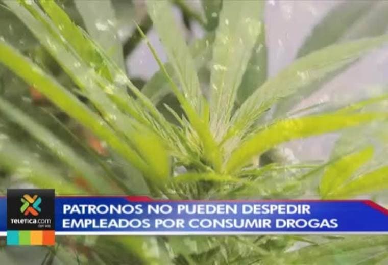 Patronos no pueden despedir empleados por consumir drogas
