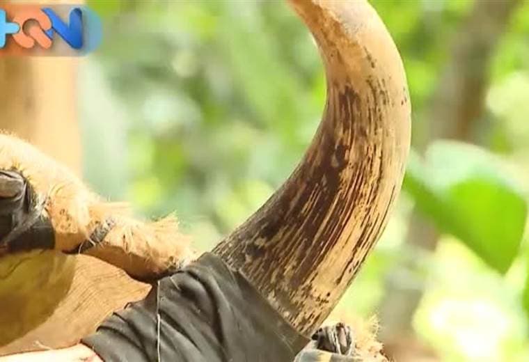 Buenos Aires de Puntarenas tiene muchos atractivos turísticos, entre ellos pasear por la Reserva Indígena.  Acá hay grupos organizados quienes le brindan desde hospedaje hasta alimentación y tours por sus mejores y más propias tradiciones.  Conozca más de su historia y loq ue ofrecen en el siguiente enlace.