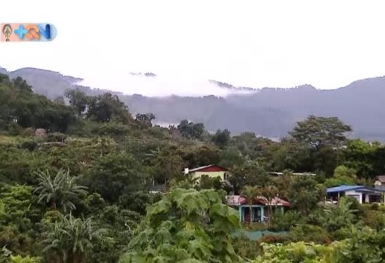 En Corralillo de Cartago nos encontramos con José Fabio Mora, tiene 13 años y desde hace dos años comenzó a hacer pizzas en el negocio de su familia. Todo comenzó porque su madre tenía una dolencia en el hombro que le impedía hacer la tarea, por lo que él dijo yo puedo y yo me encargo.  Conste que no tiene nada que ver con trabajo infantil, pues él tiene sus horarios de estudio después del colegio, se trata de amor a la familia.