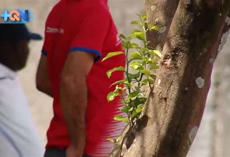 No hay Domingueño que no conozca de la cascarita. Se trata de un juego que tiene más de 62 años. Lo inventó la familia Cachera y desde entonces seduce a todos los vecinos. Comenzó en la calle principal de Santo Domingo, ahí se reunían todos los vecinos, sin falta, después de trabajar. Ahora lo hacen los domingos en el polideportivo local.
