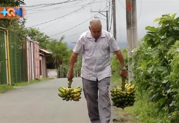 Agarre volados para preparar un buen vinagre de guineo en la casa, don Pedro es un vecino de Tures de Santo Domingo de Heredia, y hace 20 años prepara este producto desde su garaje.    Lo conocen como “El Guayacán” pues además es el serenatero de la comunidad. Tome lápiz y papel para que aprenda sobre ello en el siguiente video.