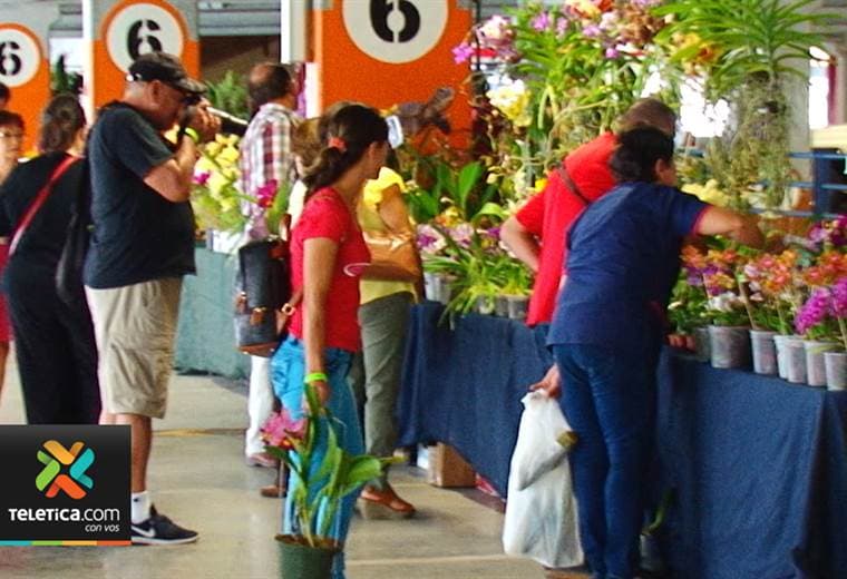 Compre orquídeas a precios de feria en la exhibición que se realiza en San José