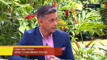 Aprenda a identificar compañeros y jefes tóxicos con estos consejos