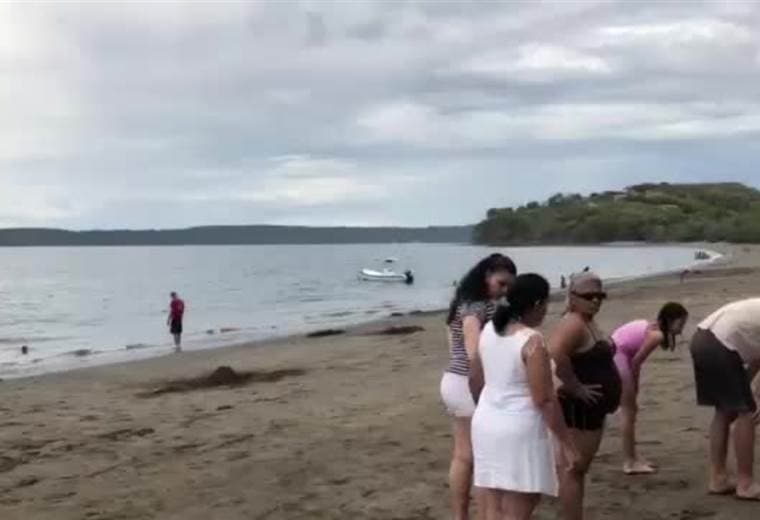 Colonia de erizos en playa Panamá