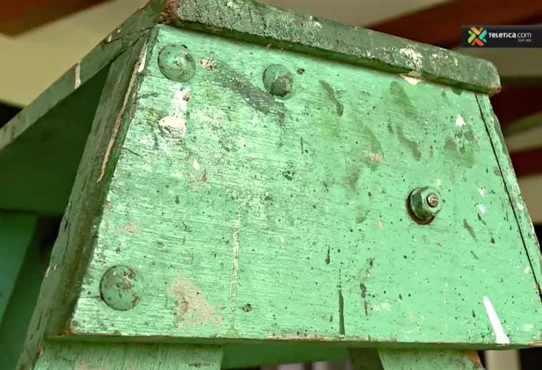 Dele vida a su casa con una escalera vieja y un poco de pintura