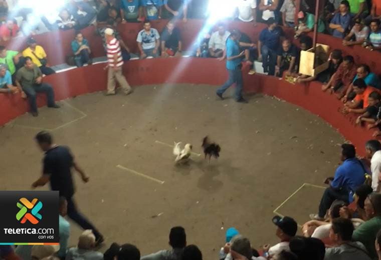 Policía de Fronteras intervino "gallera" en San Carlos