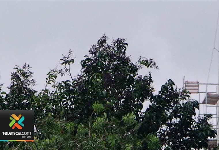 Empuje frío #14 aumentará la intensidad del viento en el país, según Meteorológico