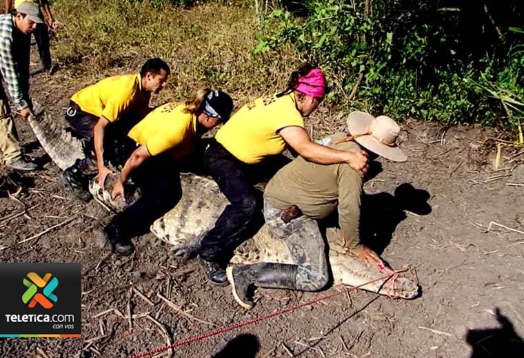 Iniciativa de Aqua Corporación Internacional sobre control de cocodrilos se extiende a comunidades