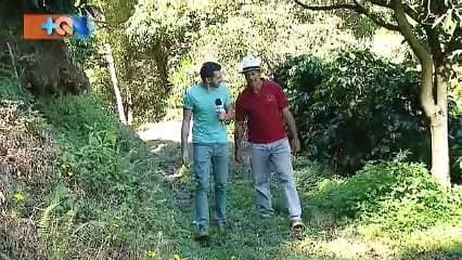 La familia Navarro Porras trabaja hace 10 años en un micro beneficio ubicado en La Bandera de Copey, en el cantón de Dota de San José. Gracias al arduo trabajo crearon la marca Monte Copey, con la cual ganaron el primer, segundo, cuarto y quinto lugar en la Tasa de Excelencia 2014.  Incluso el café ha ganado concursos internacionales y ya se comercializa fuera de nuestras fronteras.