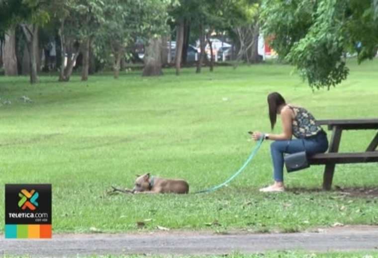 Fuerza Pública afirma que seguridad en La Sabana aumentó en los últimos meses
