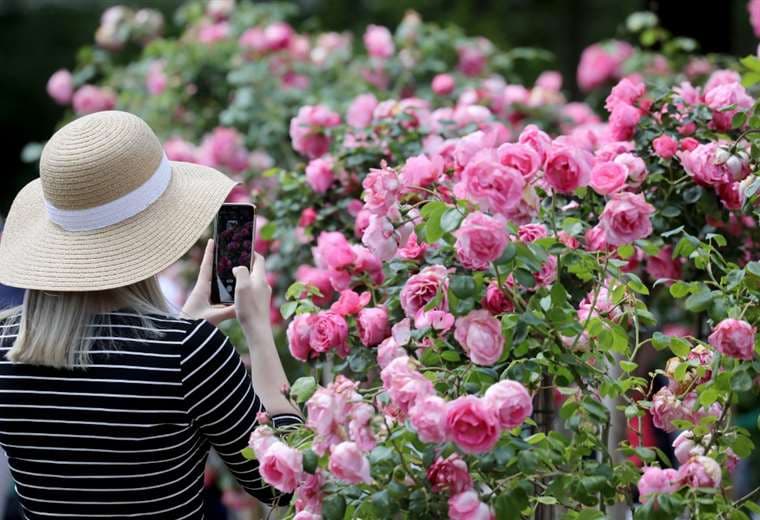 Radiotelescopio instalado en bosque en el centro de Francia, un radiotelescopio