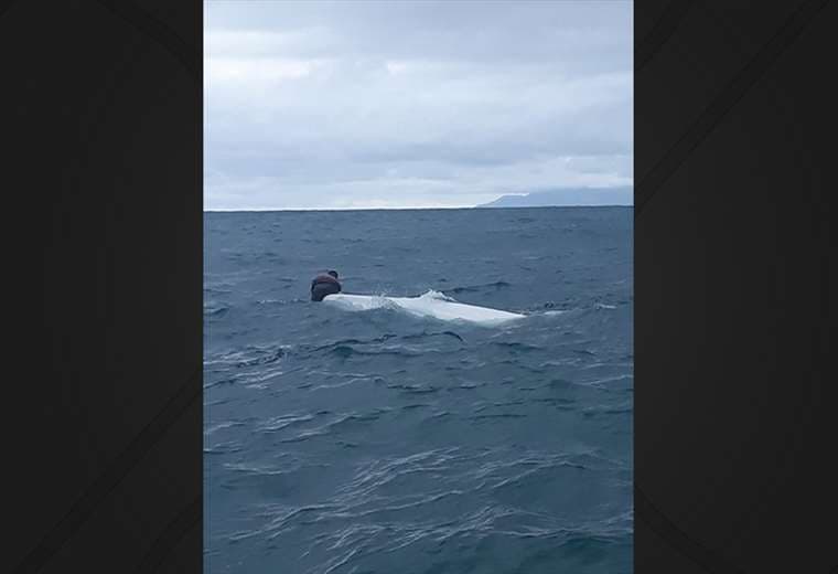 Tres hombres fueron rescatados por Guardacostas tras naufragio en Golfito