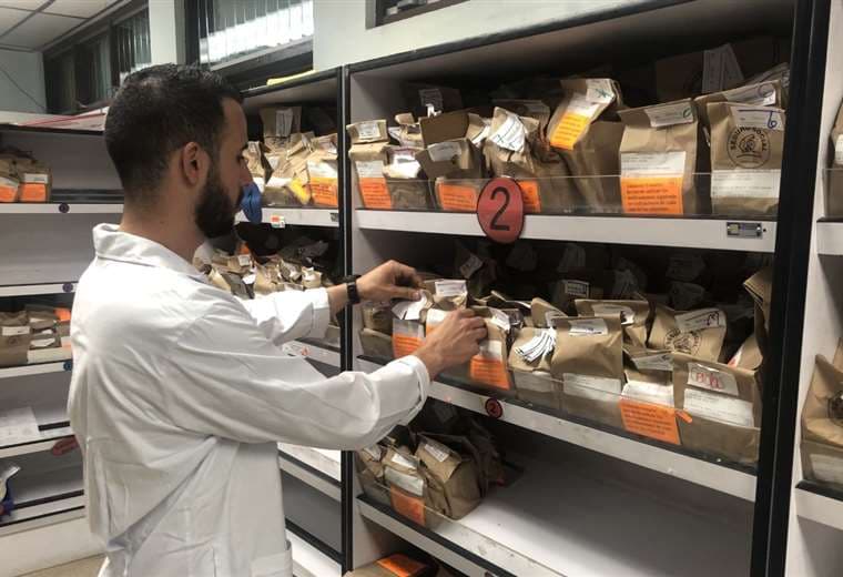 Farmacias de la CCSS