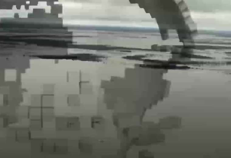 Boletín Internacional - Viernes 15 de noviembre de 2019