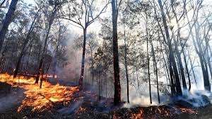 Incendios  Australia 