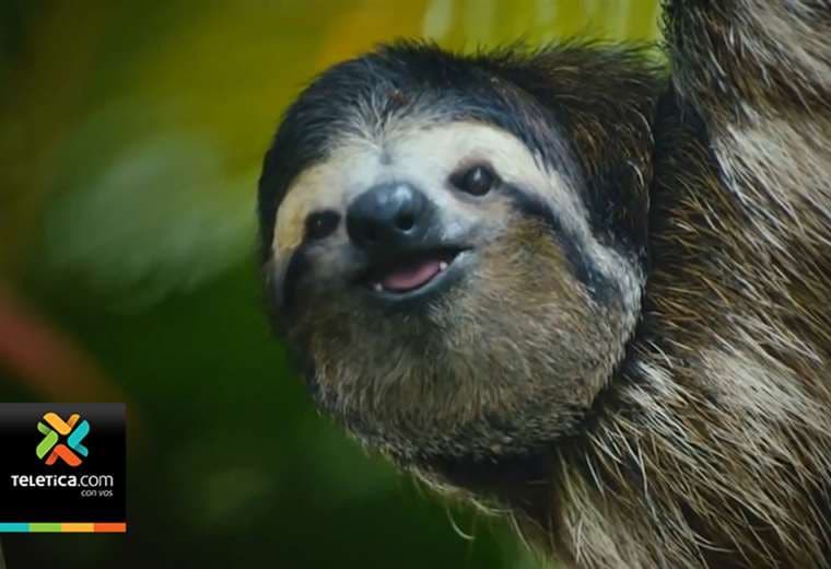 Empresarios costarricenses visitan Europa para promover al país como destino turístico