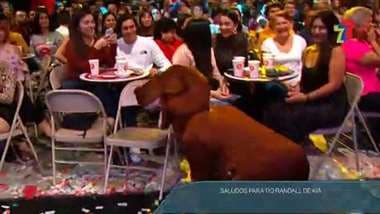 Paco el paco - 11 Diciembre 2019