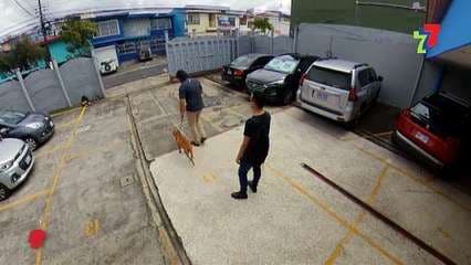 Los Repetidos 20 Diciembre 2019